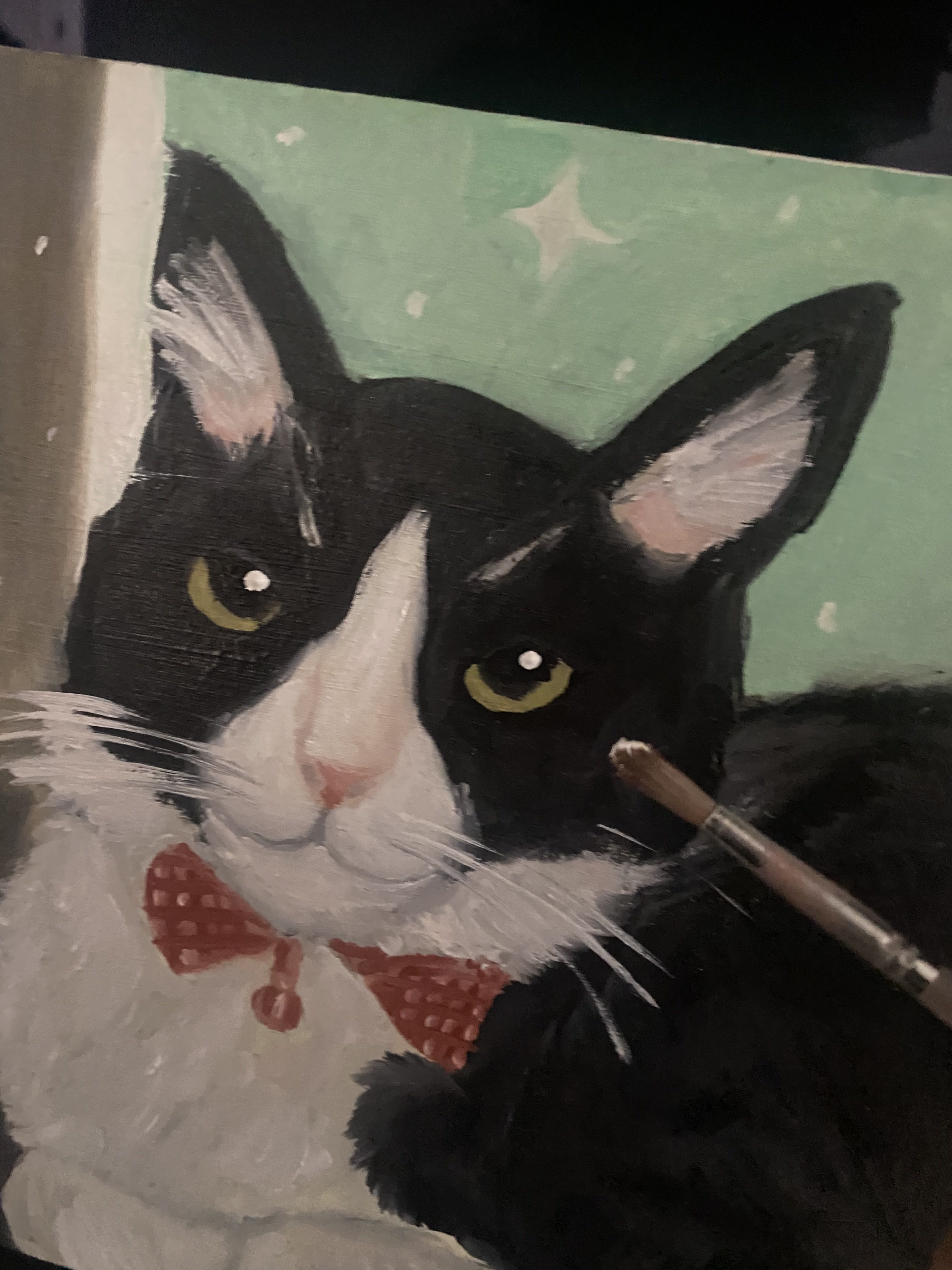 Gatito
